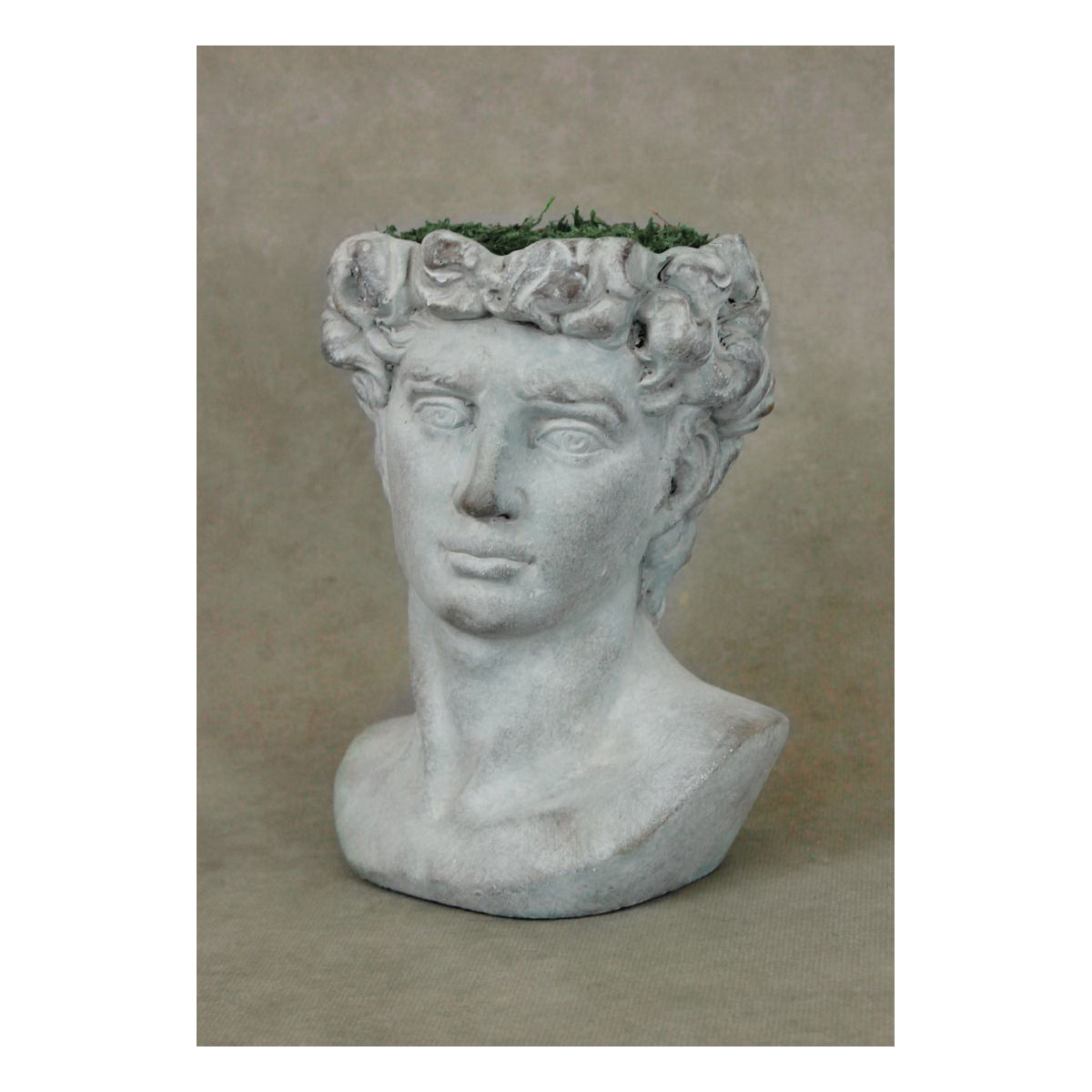 MARSHALL Home & Garden LD Series LD40 Planter, 9 in H, 6 in W, David Design - 2