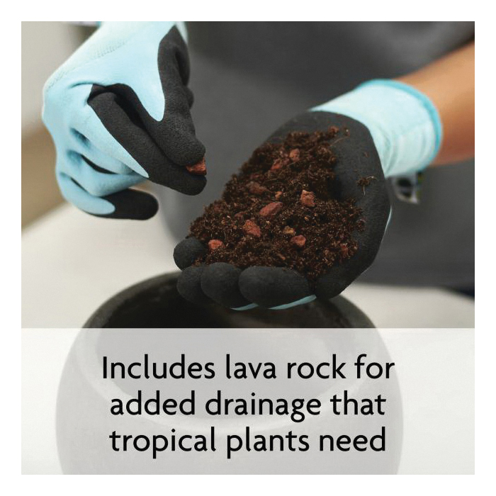 Miracle-Gro 71276431 Series Tropical Potting Mix, 6 qt Bag, Solid - 4