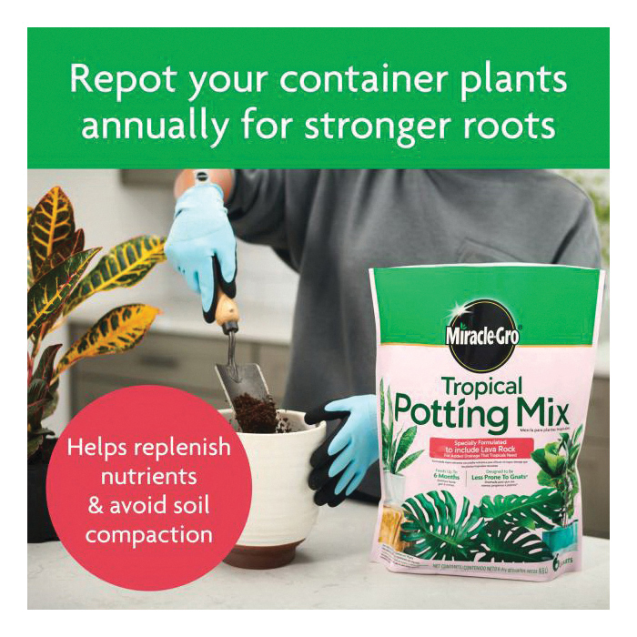 Miracle-Gro 71276431 Series Tropical Potting Mix, 6 qt Bag, Solid - 5