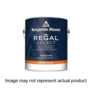 N550 Series N5501X-004 Interior Wall Paint, Pearl/Satin, 1 qt