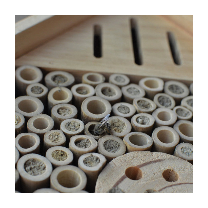 Nature's Way PWH13 Insect House, 9.84 in W, 11.81 in H, Chateau, Cedar - 3