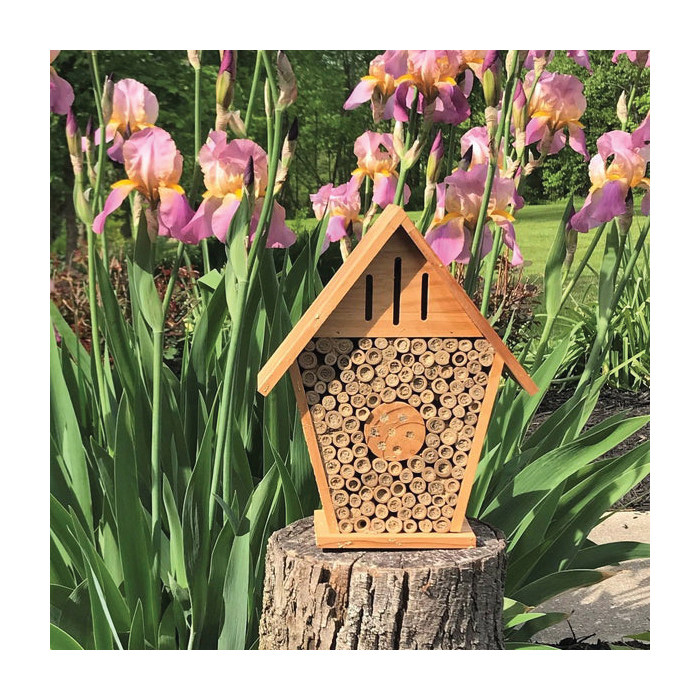 Nature's Way PWH13 Insect House, 9.84 in W, 11.81 in H, Chateau, Cedar - 4