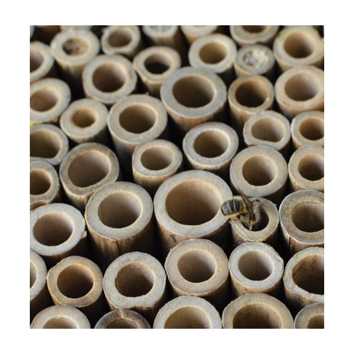 Nature's Way PWH9 Bee Barn, 6.9 in W, 11 in H, Bamboo - 4
