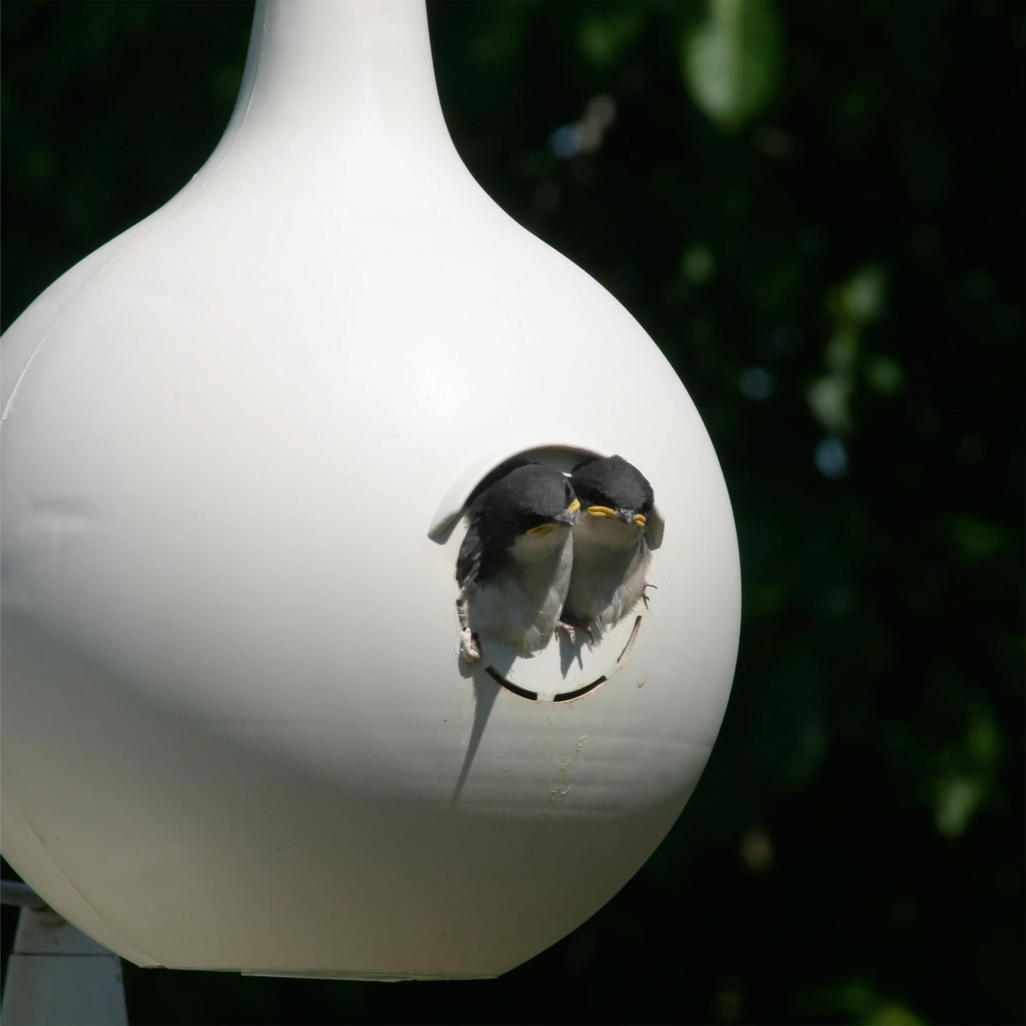 Heath 30011 2-Piece Bird House, 7.13 in W, 7.13 in D, 11.88 in H, Gourd, Plastic, Off-White - 2