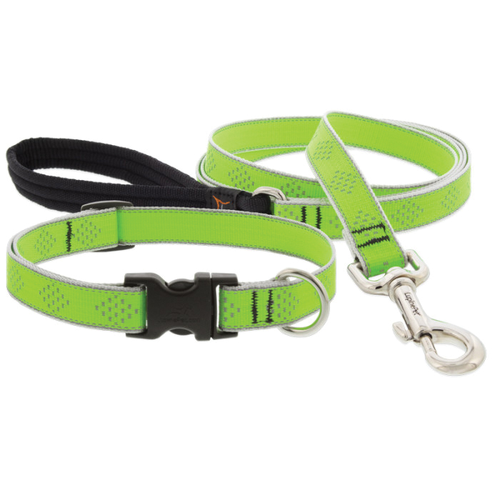 48101 Adjustable Dog Collar, 9 to 14 in, D-Ring, 3/4 in W, Nylon, Green Diamond