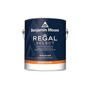 Benjamin Moore N5501X-001