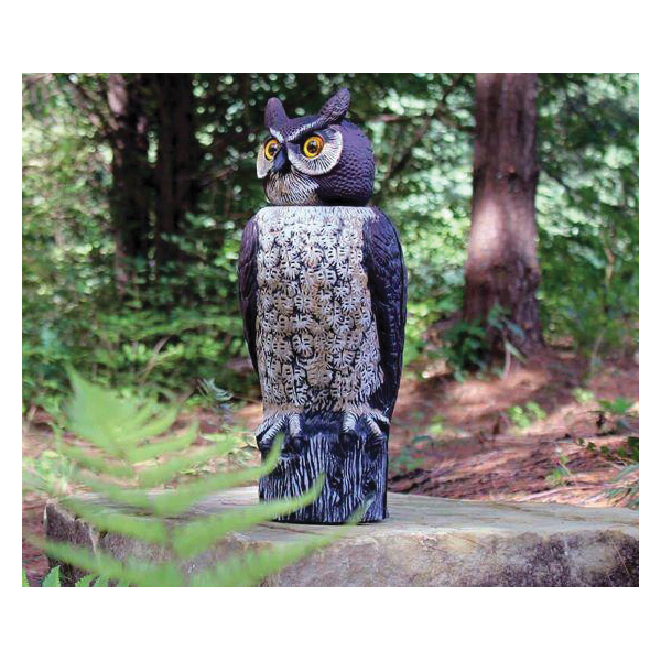Natural Enemy Scarecrow, Dalen, Rotating Head Owl, Repels: Birds, Rabbits, Raccoons, Squirrels - 4