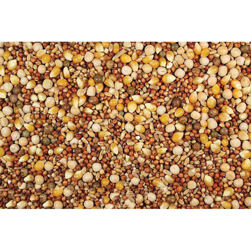 LEACH GRAIN & MILLING 46550 103510549 IFA