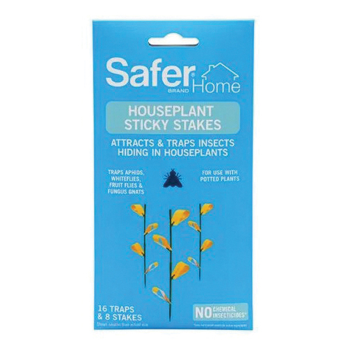 SH5026 Houseplant Sticky Stake, Solid
