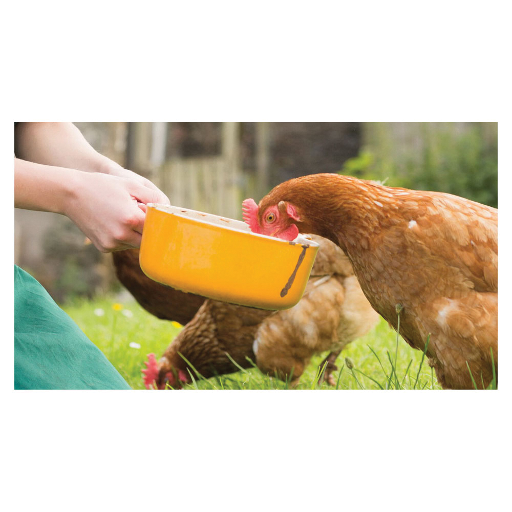 Coops & Feathers 650-11 Herbs and Blooms Poultry Treat, 10.5 oz, Bag