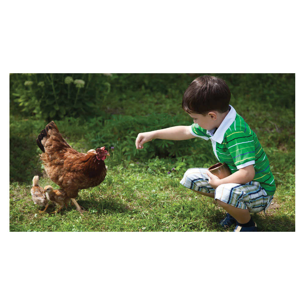 Coops & Feathers 650-11 Herbs and Blooms Poultry Treat, 10.5 oz, Bag