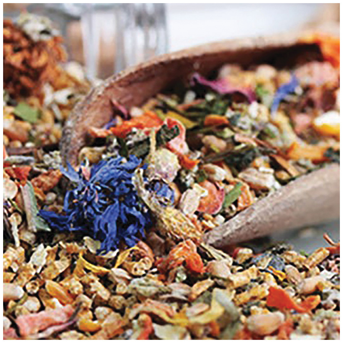 Coops & Feathers 650-11 Herbs and Blooms Poultry Treat, 10.5 oz, Bag