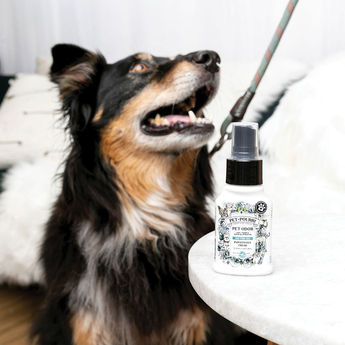 Poo-Pourri BB10229 Odor Eliminator, Liquid, Pawsitively Fresh, 1.4 oz, Bottle - 2
