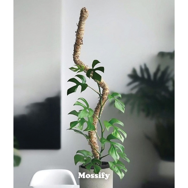Mossify MFYBMP0016 Bendable Pole, Burlap/Steel/Sphagnum Moss, 16 in H Dimensions - 2
