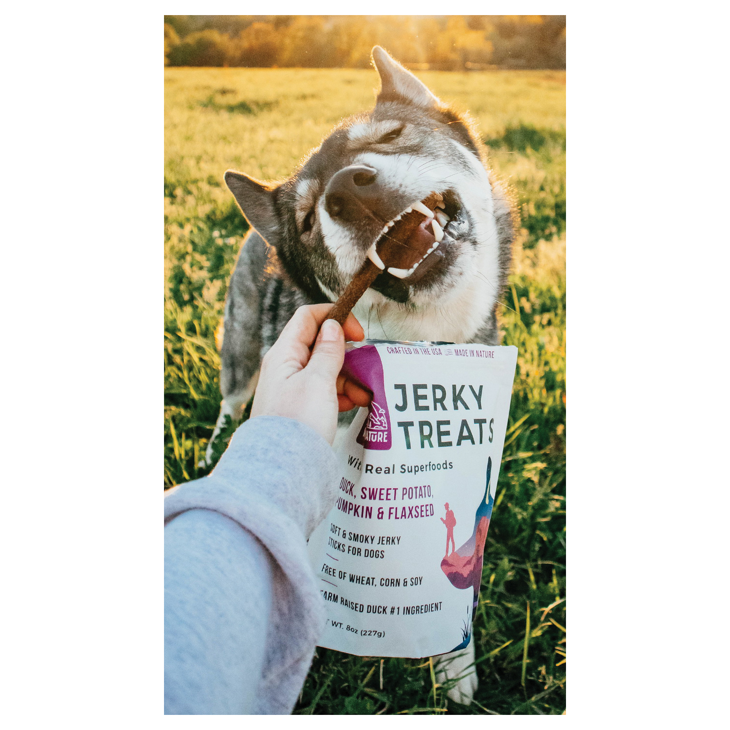 Righteous Felon Craft Jerky WS-WR-DUCK Jerky Dog Treat, 8 oz - 3