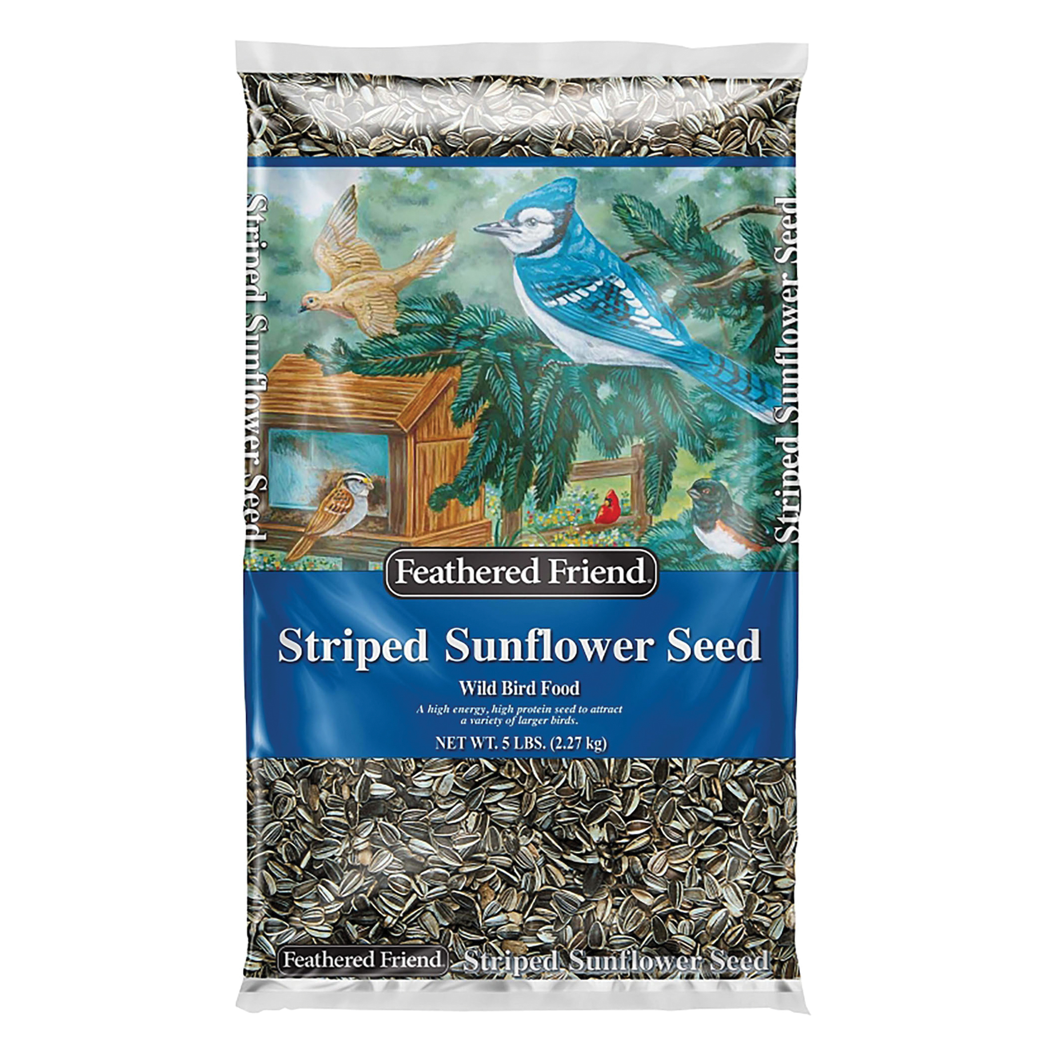 14467 Striped Sunflower Seed, 5 lb