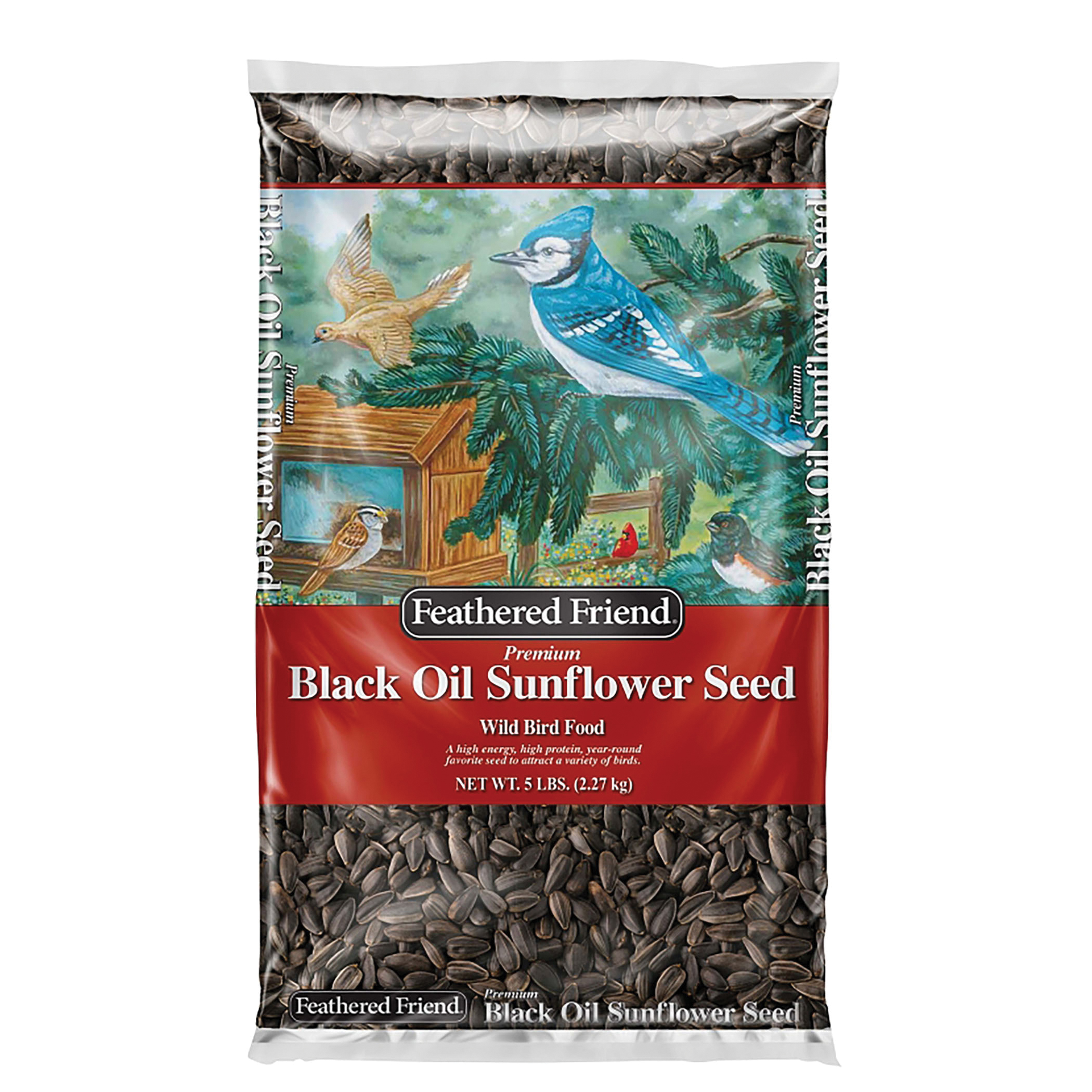 14416 Black Oil Sunflower Seed, 5 lb Bag