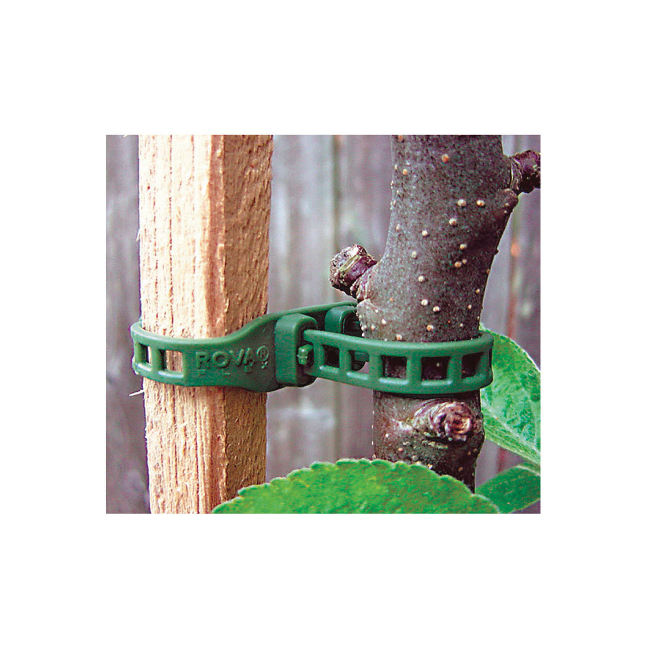 Softbinder, Garden Works, 22-1/2 in L- 2 pk - 1
