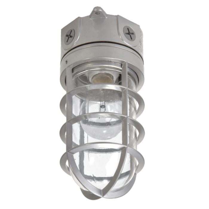 VT100G Floodlight, 120 V, 100 W, Incandescent Lamp, 1600 Lumens, 2700 K Color Temp