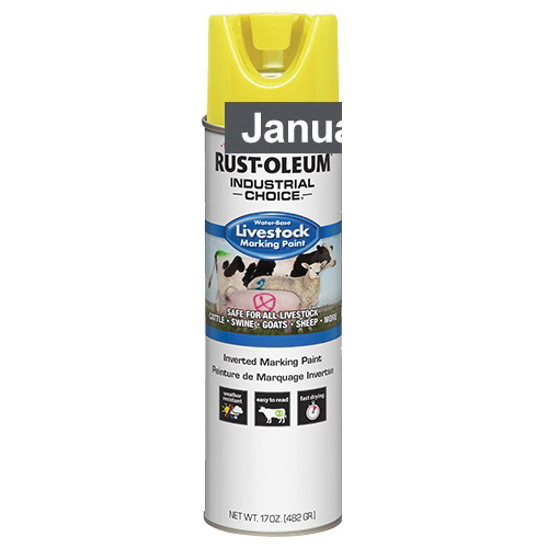 Rust-oleum 383020