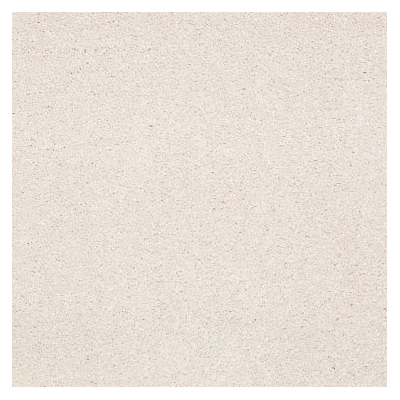 Shaw Floors E0548-00101