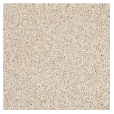 Shaw Floors E0812-00101