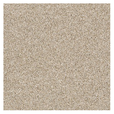Shaw Floors E9186-00100