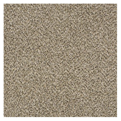 Shaw Floors E9258-00100