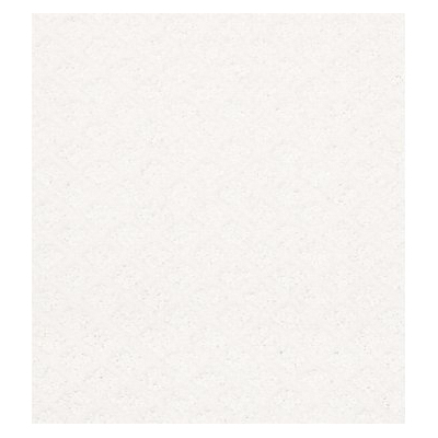 Shaw Floors E9808-00170