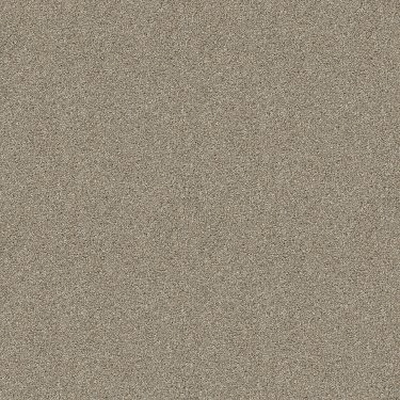 Shaw Floors E9859-00112