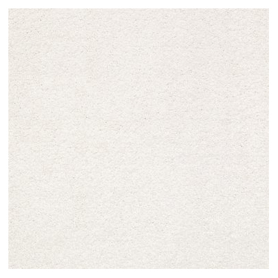 Shaw Floors E9639-00100