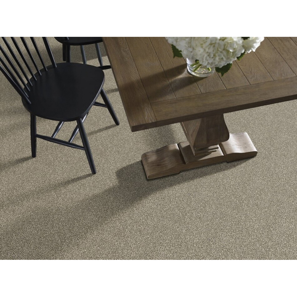 Shaw Floors Perpetual I Pet Perfect Plus Series E9692-00102 Indoor Carpet, 12 ft W, Solid Pattern, PET Rug, Eggshell - 2
