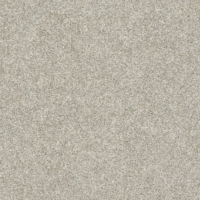 Shaw Floors E9870-00100