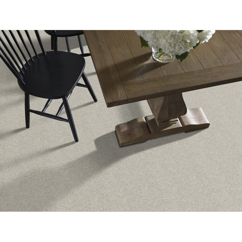 Shaw Floors All Over It I Simply The Best Series E9870-00100 Indoor Carpet, 12 ft W, Solid Pattern, PET Rug, Oatmeal - 2