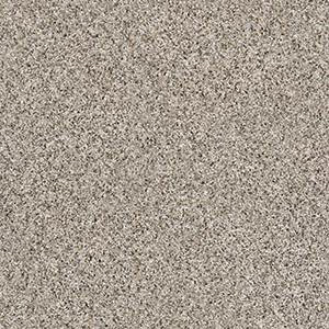 Shaw Floors 5E084-00100