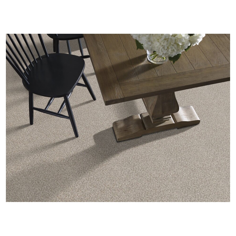 Shaw Floors Simply The Best, Absolutely IT Series 5E084-00100 Indoor Carpet, Heavy Frost, 12 ft W, Tonal Pattern - 2