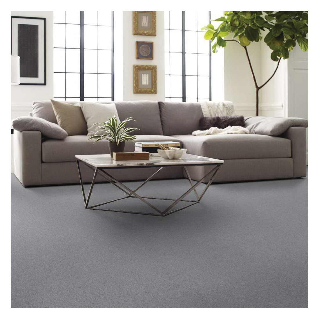 Shaw Floors Simply The Best, Absolutely IT Series 5E084-00100 Indoor Carpet, Heavy Frost, 12 ft W, Tonal Pattern - 5