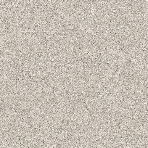 Shaw Floors 5E272-00101