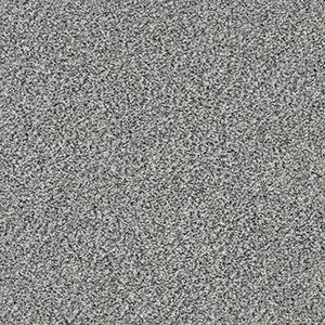 Shaw Floors 5E259-00101