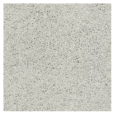 Shaw Floors Caress Rich Opulence Series CCS88-00400 Indoor Carpet, 12 ft W, Solid Pattern, Nylon Rug, Sky Washed - 1
