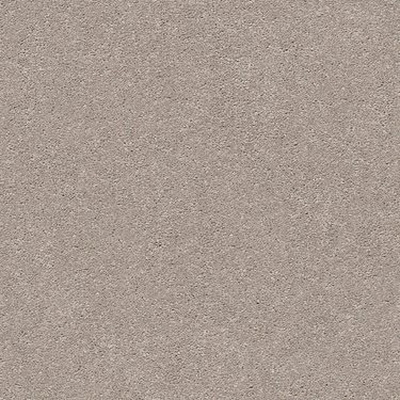 Shaw Floors E9968-102S