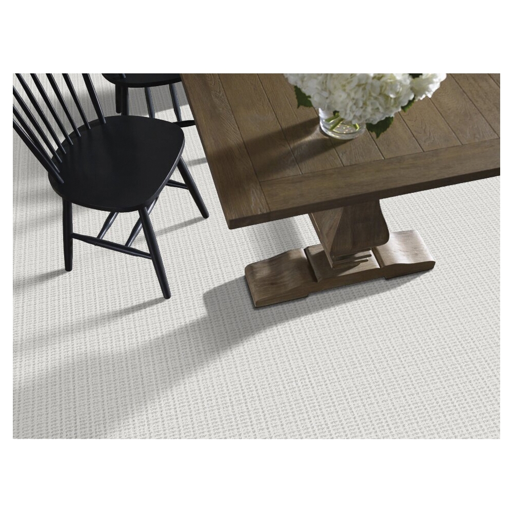 Shaw Floors Charming Transition, Pet Perfect Plus Series 5E274-00100 Indoor Carpet, Snow Cap, 12 ft W, Plaid Pattern - 2