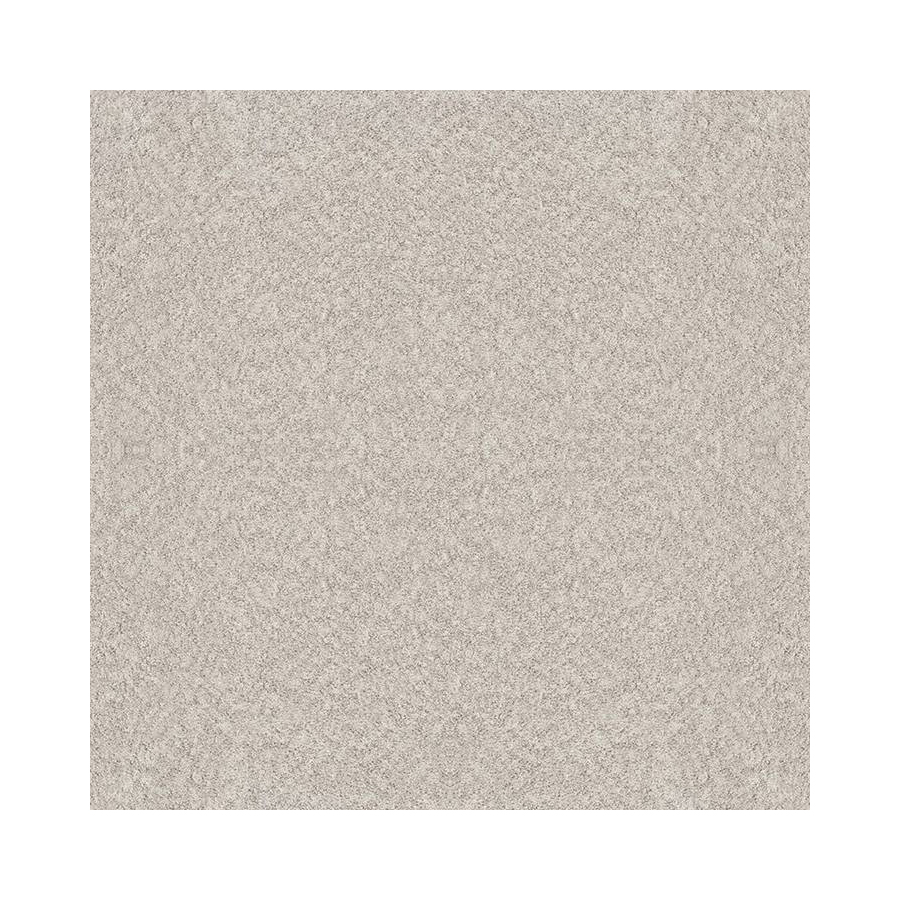 Shaw Floors 5E445-00102
