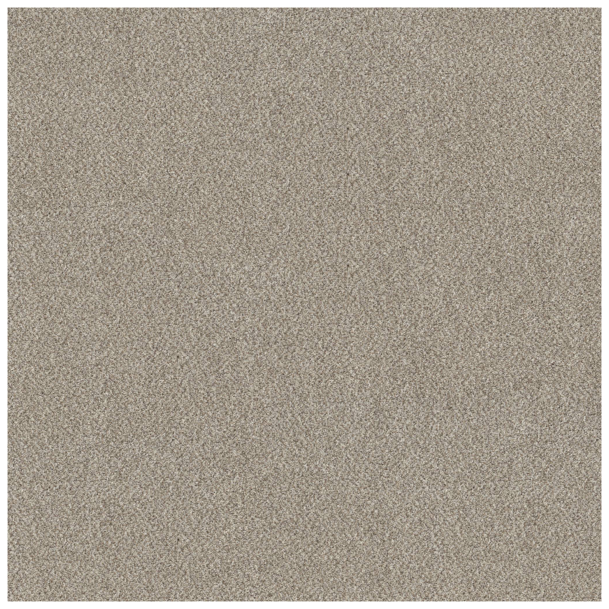 Shaw Floors 5E496-00103