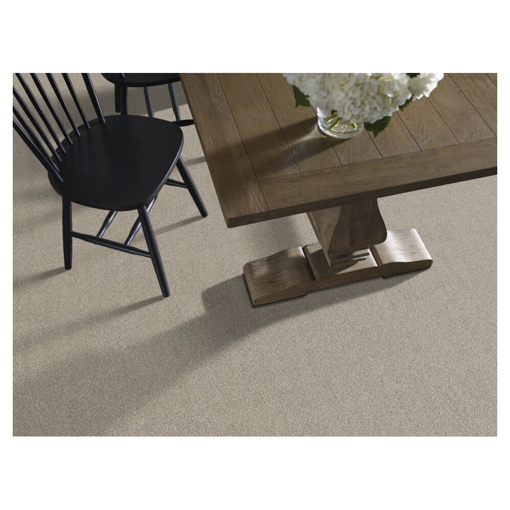 Shaw Floors Simply The Best Truspirit I Series 5E496-00103 Indoor Carpet, 12 ft W, Tonal Pattern, Polyester Rug, Mist - 2