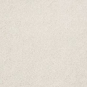 Shaw Floors 5E545-00110