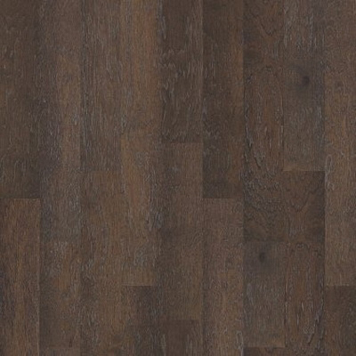 Shaw Floors 00510-SW567