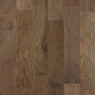 Shaw Floors 01013-SW599