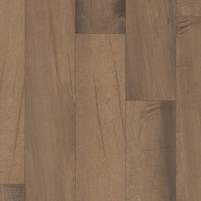 Shaw Floors 01012-SW598