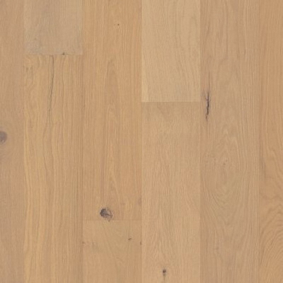 Shaw Floors 01045-SW689